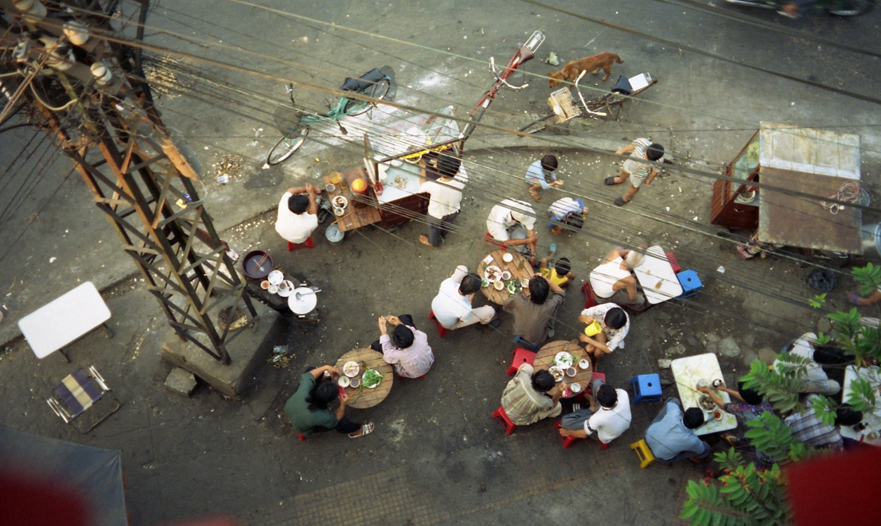 Best Restaurants in Ho Chi Minh City: Where to Eat Like a Local